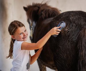 michaelaraningeranikapferdunbenanntefotosession005