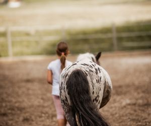 michaelaraningeranikapferdunbenanntefotosession152